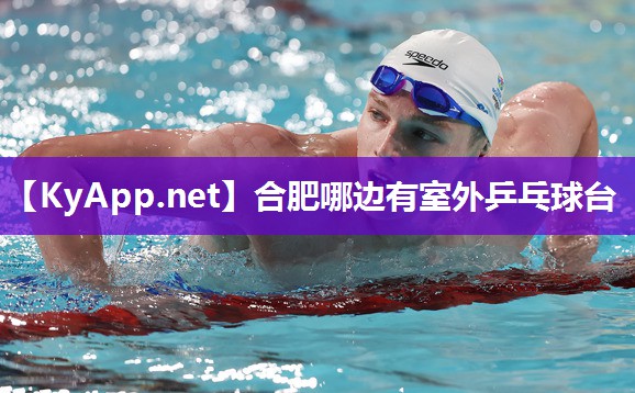 合肥哪边有室外乒乓球台
