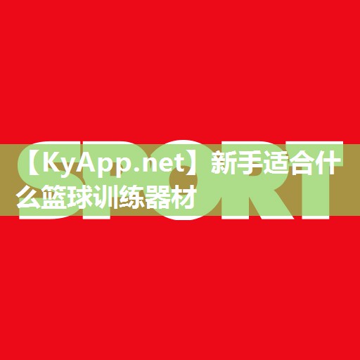新手适合什么篮球训练器材