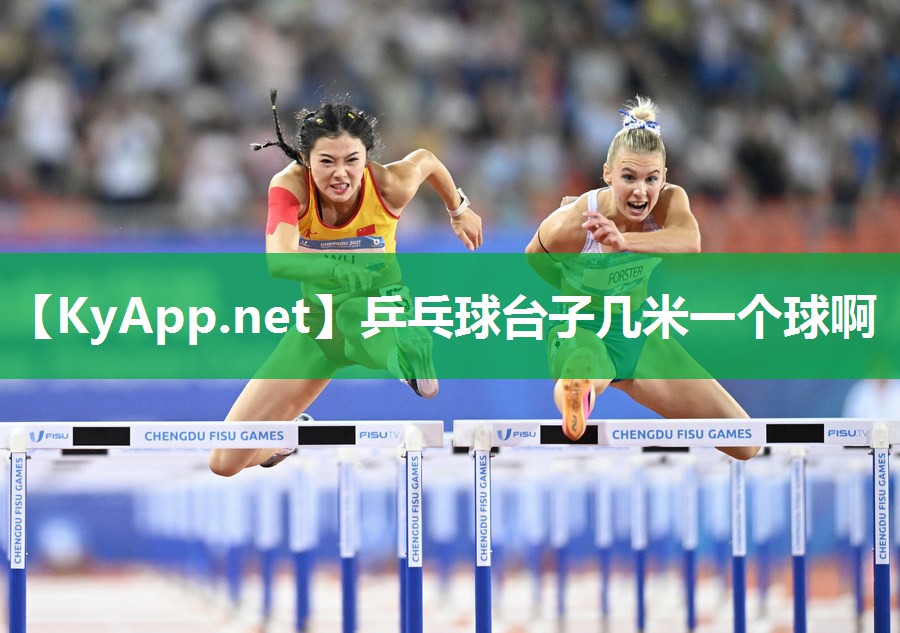 乒乓球台子几米一个球啊