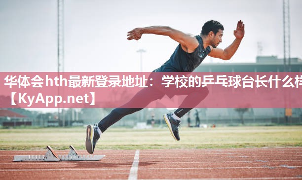华体会hth最新登录地址：学校的乒乓球台长什么样