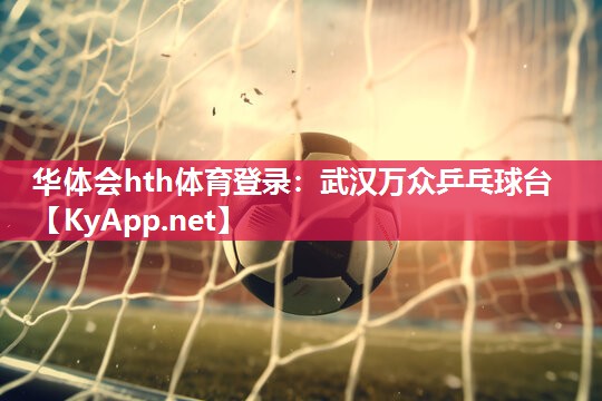 华体会hth体育登录：武汉万众乒乓球台