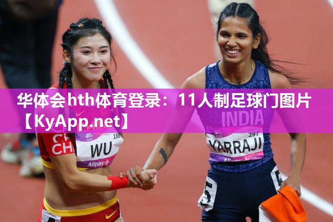 华体会hth体育登录：11人制足球门图片