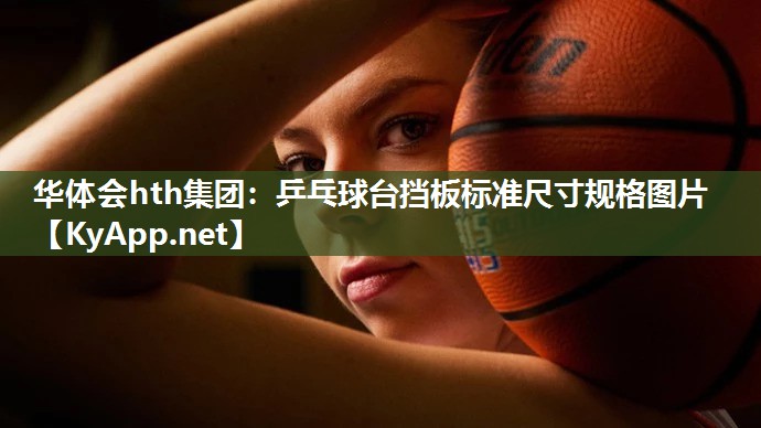 华体会hth集团：乒乓球台挡板标准尺寸规格图片
