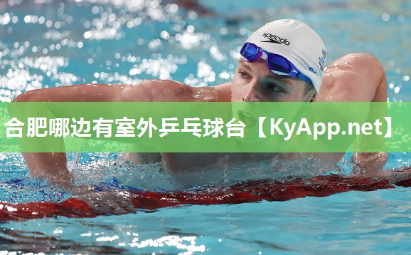 合肥哪边有室外乒乓球台