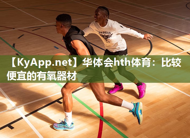 比较便宜的有氧器材