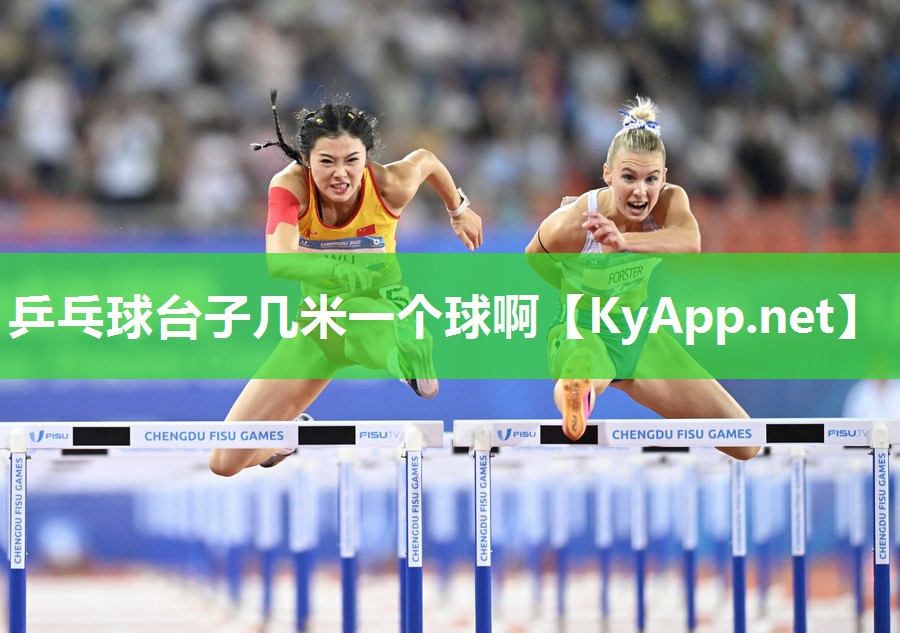乒乓球台子几米一个球啊