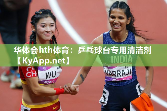 乒乓球台专用清洁剂