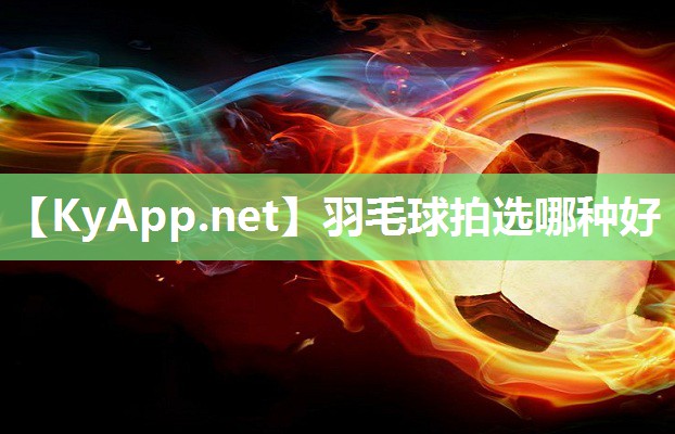 羽毛球拍选哪种好