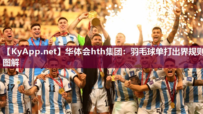 羽毛球单打出界规则图解