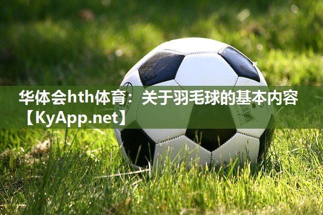 关于羽毛球的基本内容